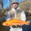 Koda Whalen