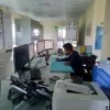 Md Shanoarul Islam