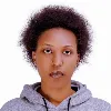 Amissa