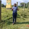 arara vincent