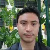 Dwi Novriza