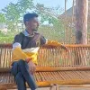 Harsh Pandey