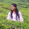 Srinarmatha