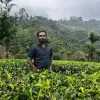 Dhanish Kishore