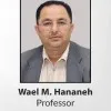 Wael Hananeh