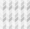 Shayne Solis