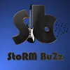 StoRM BuZz