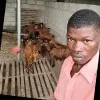 Olabanji Raji