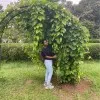 praveena chellapandi