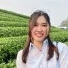 Ha Tran Viet