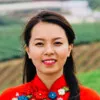 Vo Vuong Hieu Nguyen