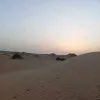 Yahia