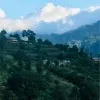 Anup Pathak