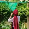 Sufiya Ahmed