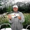 Ron Lagrone