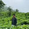 Harish MaheshBabu