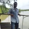Pavan