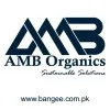 Aamir Bangee
