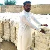 Mohammad Ali