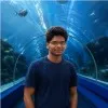 Chandra Abhishek Palle