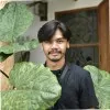Irvan Arfiyanto