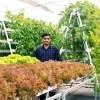 Nikhil Kumar