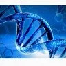 VENGATESHT BIO