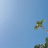 kidus Mersha