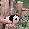 Song Yi Han