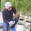 Jitesh Shinde