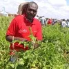 Nahason Mutuma
