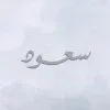 Saud Ul Faisal