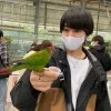 Hayato Saito