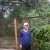 Avinash Mishra