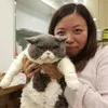 Karena Kwok