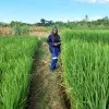 Rabecca Nyirongo Mlotha