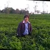 CHANDAN ROY