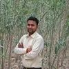 Surjeet Tomar