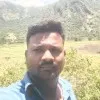 vino balan