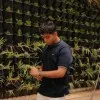 Maaz Ahmed