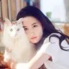 Landy chen