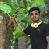 Kali Das
