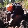 arri arga