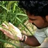 Vignesh Mohanavel PhD