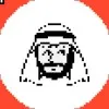 Raheel Siddiqi [LION]