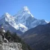 Mission Eco Trek