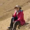 Yang Yu