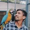 kapil kaim