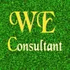 WE CONSULTANT