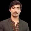 TALIB HUSSAIN